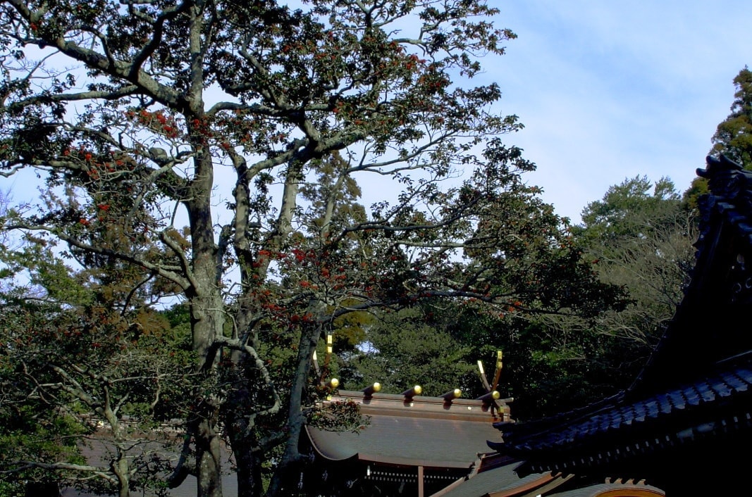 多賀神社