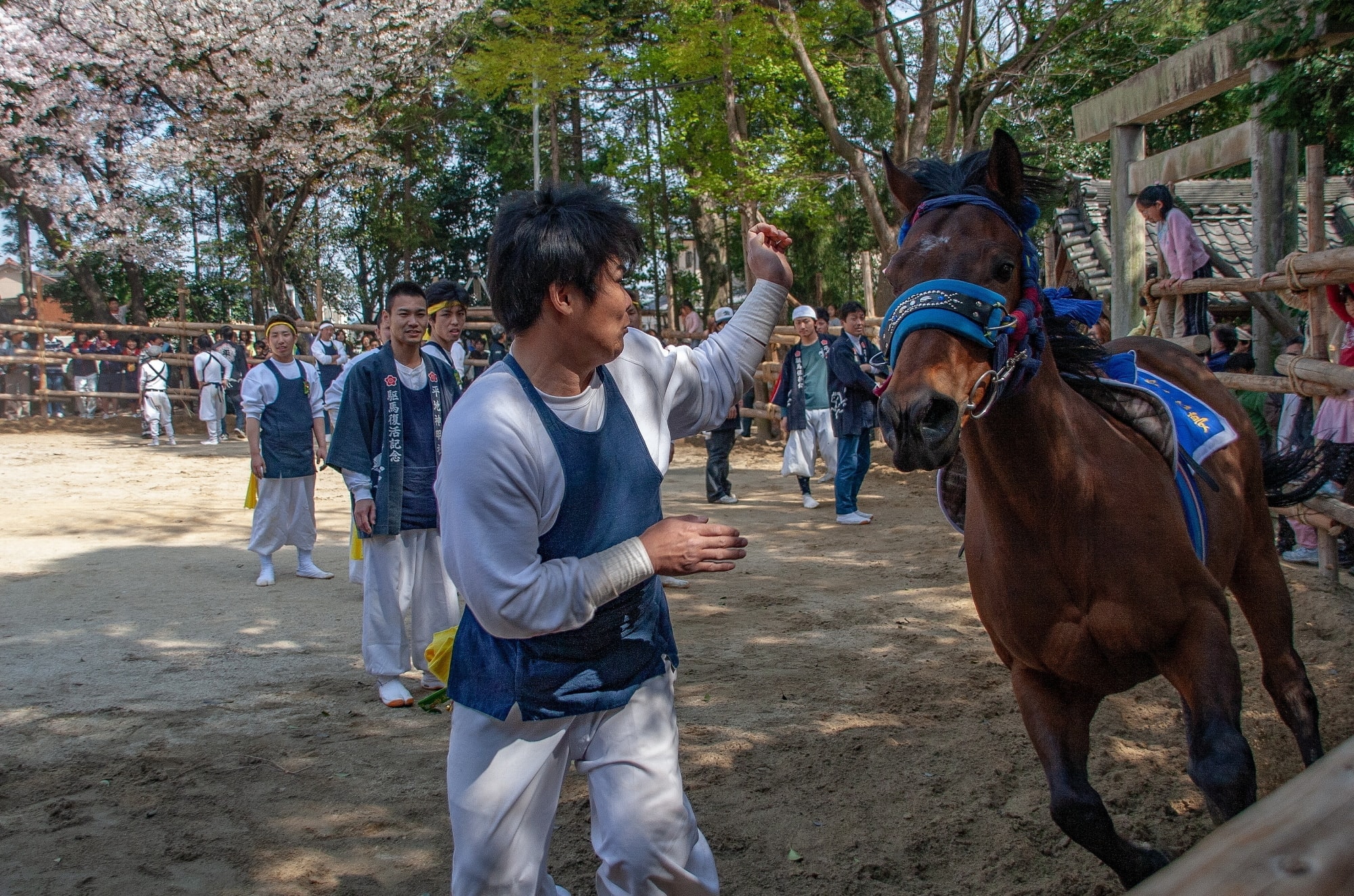 馬駈まつり