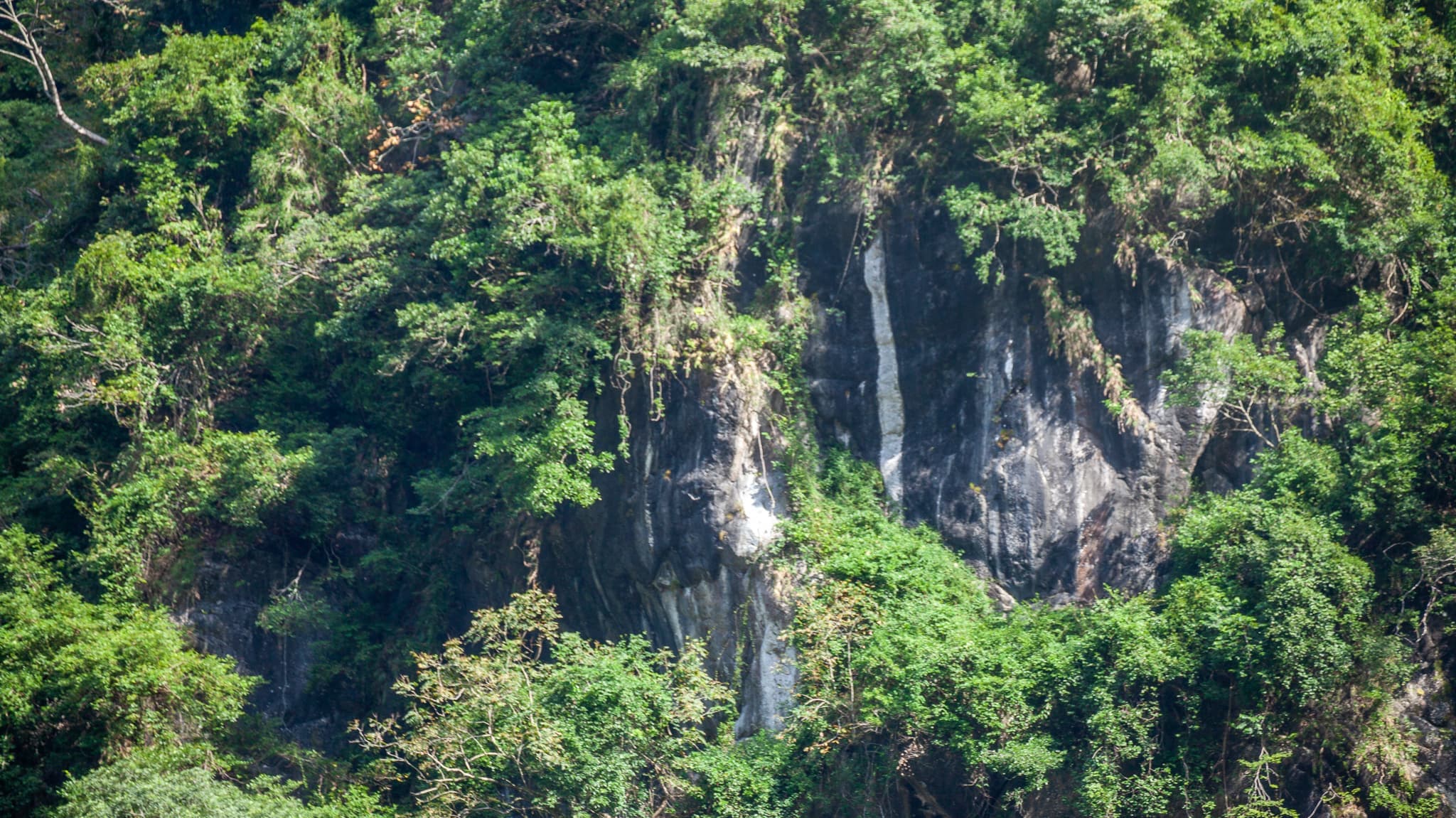 ワルシャワの街並み