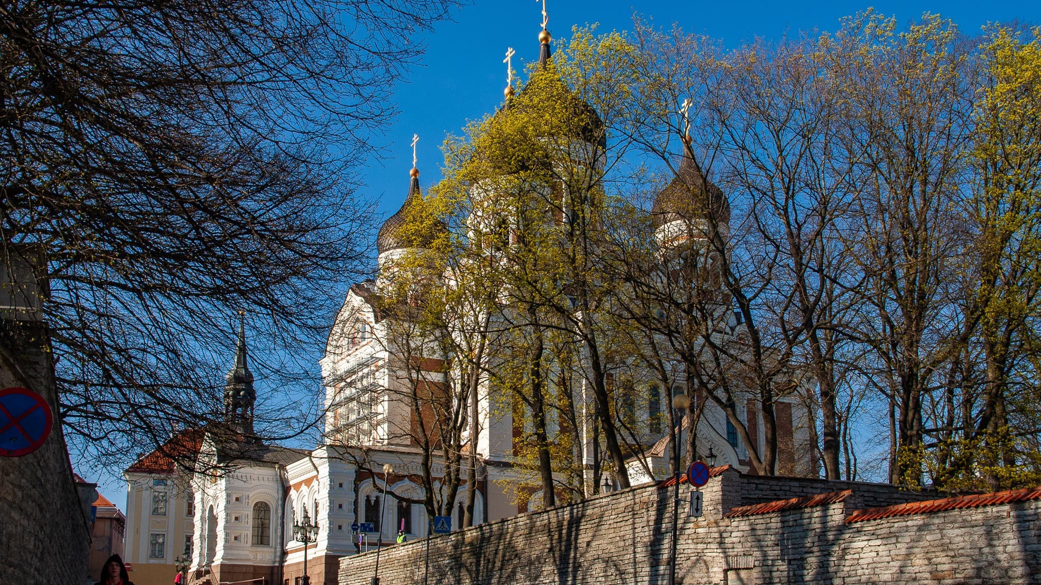 アレクサンドル・ネフスキー大聖堂アレクサンドル・ネフスキー大聖堂