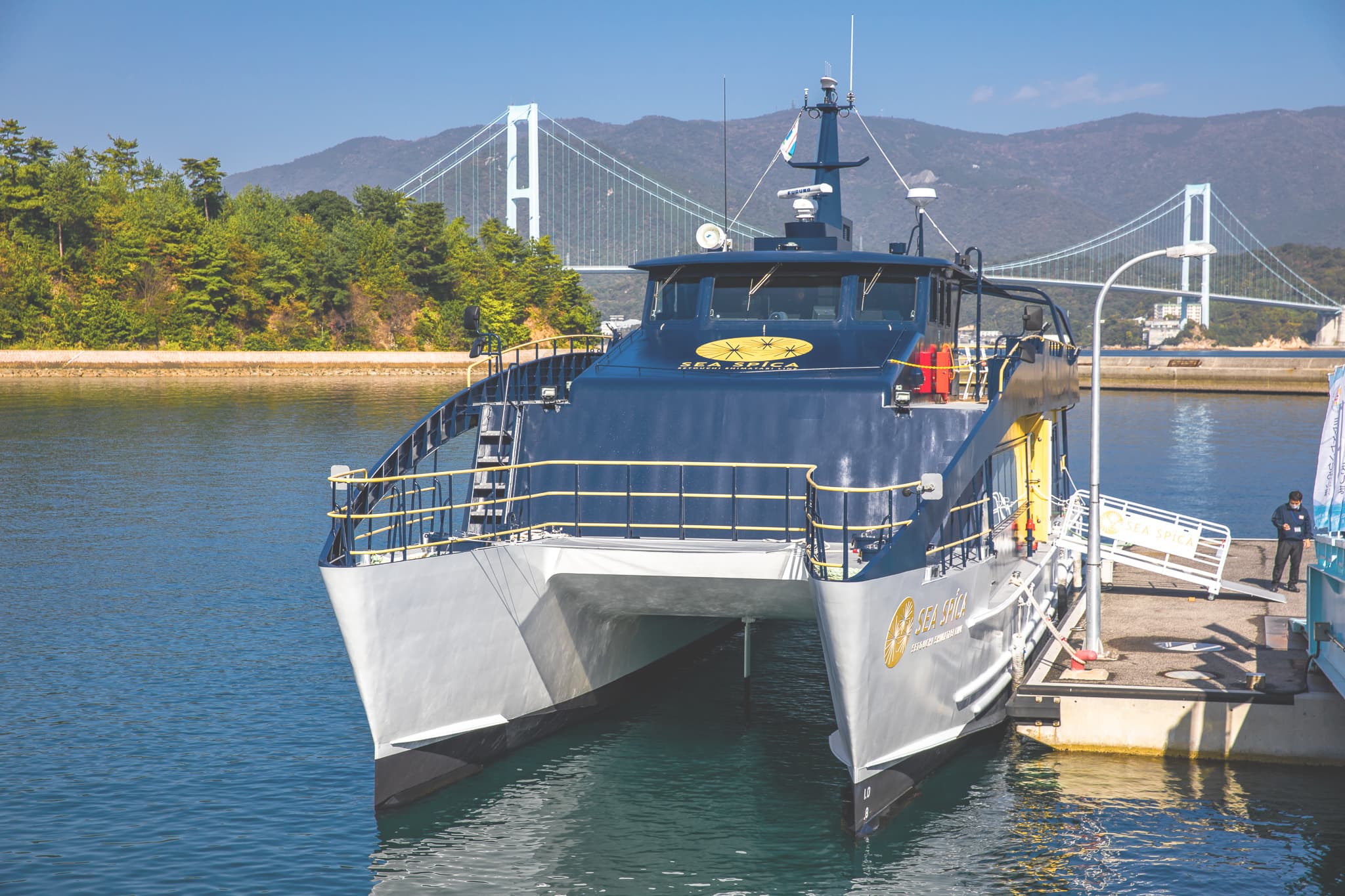 MSCクランディオーサ